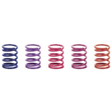 Spring Set D:1.7 (28lb) Violet C: 4.0 - Medium - Rear (2)