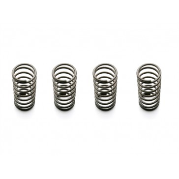 DISC.. Battery Door Springs (4pcs)