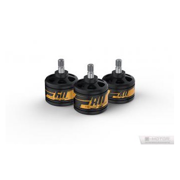 DISC.. Brushless Motors set (2pcs) F60 - 2200kv