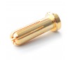 Connector : 5.0mm gold Bullet plated Male plug (1pcs)