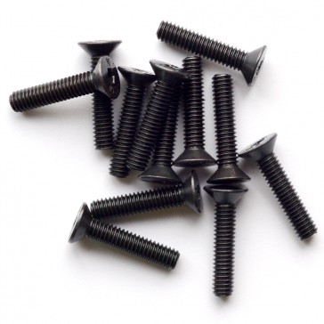 Flat Hex Screw fine pitch screws 2.5x12 (12 pcs)