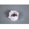 Motor Board for 980mm Ki-61 (FMSBMX013)