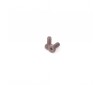 SPEED PACK Servo Screws (2pcs)