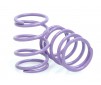 DISC. Pro-Touring Springs - Purple 27 lbs