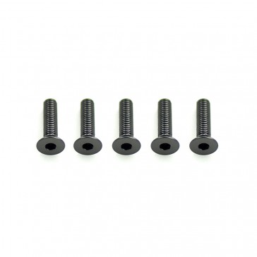 Alloy Csk Hex Screws M3 x 12 pk10