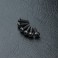 DISC.. Round head screw M2X6 (6)
