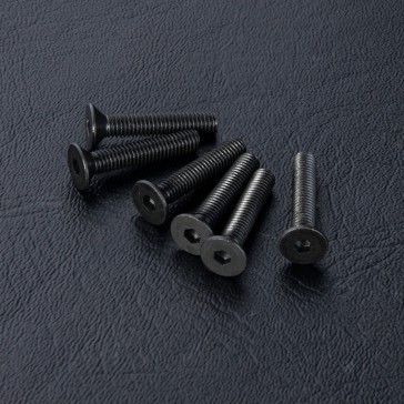DISC.. Countersunk screw M3X16 (6)