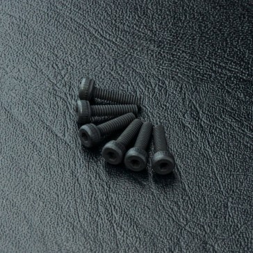 DISC.. Cap screw M2X8 (6)