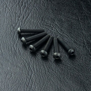 Round head screw M2.5X14 (6)