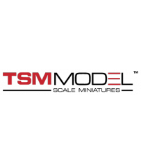 TSM Model