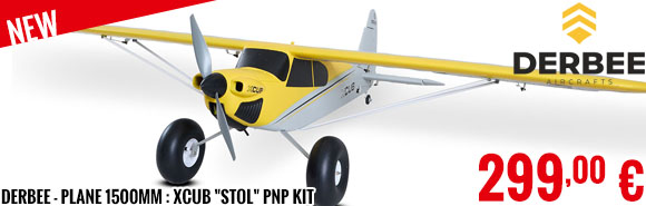 New - Derbee - Plane 1500mm : XCub 